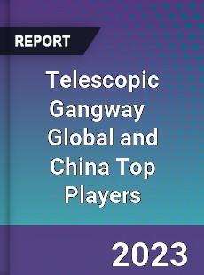 Telescopic Gangway Global and China Top Players Market