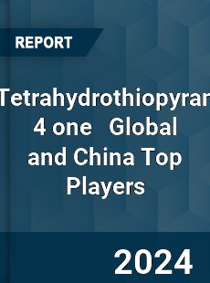 Tetrahydrothiopyran 4 one Global and China Top Players Market