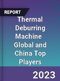 Thermal Deburring Machine Global and China Top Players Market