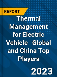 Thermal Management for Electric Vehicle Global and China Top Players Market