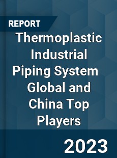 Thermoplastic Industrial Piping System Global and China Top Players Market