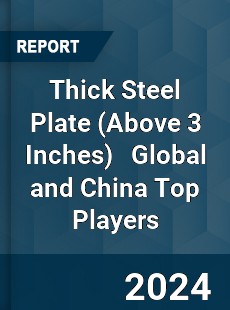 Thick Steel Plate Global and China Top Players Market