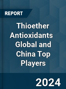 Thioether Antioxidants Global and China Top Players Market