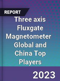 Three axis Fluxgate Magnetometer Global and China Top Players Market