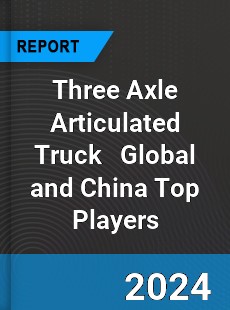 Three Axle Articulated Truck Global and China Top Players Market