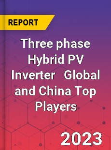 Three phase Hybrid PV Inverter Global and China Top Players Market