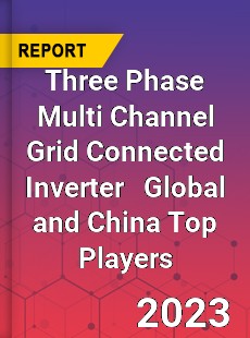 Three Phase Multi Channel Grid Connected Inverter Global and China Top Players Market