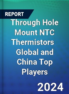 Through Hole Mount NTC Thermistors Global and China Top Players Market