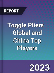 Toggle Pliers Global and China Top Players Market