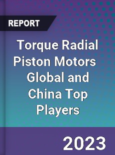 Torque Radial Piston Motors Global and China Top Players Market