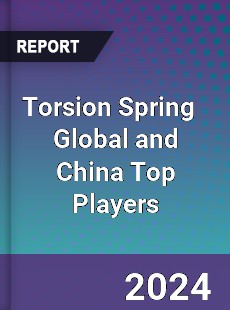 Torsion Spring Global and China Top Players Market