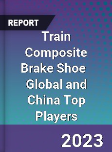 Train Composite Brake Shoe Global and China Top Players Market