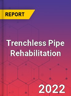 Trenchless Pipe Rehabilitation Market