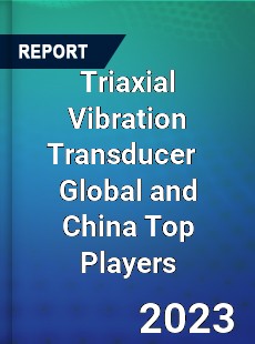 Triaxial Vibration Transducer Global and China Top Players Market