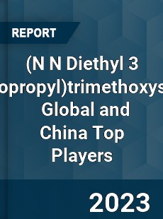 trimethoxysilane Global and China Top Players Market