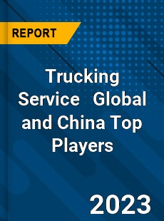 Trucking Service Global and China Top Players Market