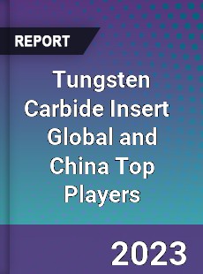 Tungsten Carbide Insert Global and China Top Players Market