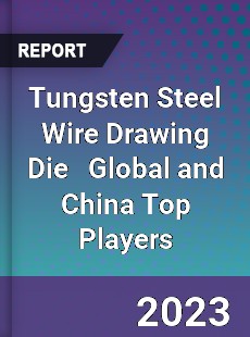 Tungsten Steel Wire Drawing Die Global and China Top Players Market