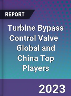 Turbine Bypass Control Valve Global and China Top Players Market