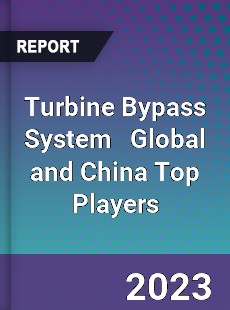 Turbine Bypass System Global and China Top Players Market