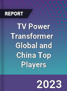 TV Power Transformer Global and China Top Players Market