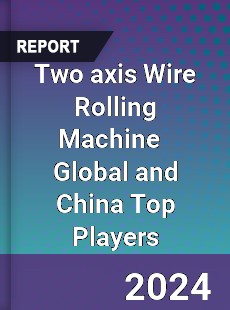 Two axis Wire Rolling Machine Global and China Top Players Market