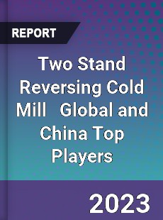 Two Stand Reversing Cold Mill Global and China Top Players Market