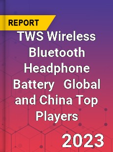 TWS Wireless Bluetooth Headphone Battery Global and China Top Players Market