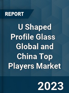 U Shaped Profile Glass Global and China Top Players Market