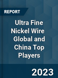 Ultra Fine Nickel Wire Global and China Top Players Market