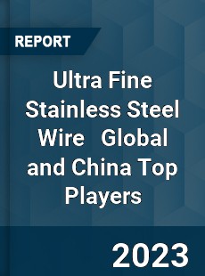 Ultra Fine Stainless Steel Wire Global and China Top Players Market