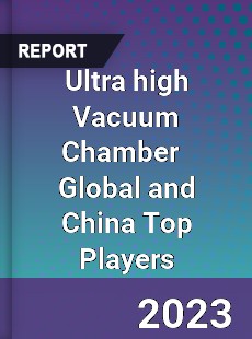 Ultra high Vacuum Chamber Global and China Top Players Market