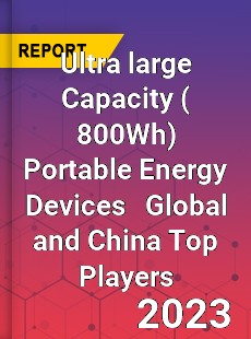 Ultra large Capacity Portable Energy Devices Global and China Top Players Market