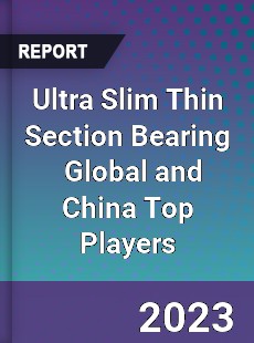 Ultra Slim Thin Section Bearing Global and China Top Players Market