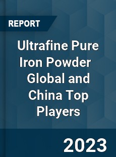 Ultrafine Pure Iron Powder Global and China Top Players Market