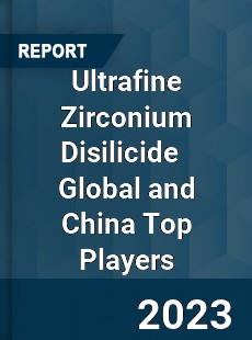 Ultrafine Zirconium Disilicide Global and China Top Players Market