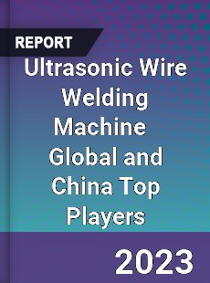 Ultrasonic Wire Welding Machine Global and China Top Players Market