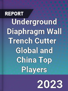 Underground Diaphragm Wall Trench Cutter Global and China Top Players Market