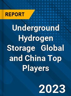 Underground Hydrogen Storage Global and China Top Players Market