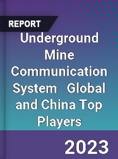 Underground Mine Communication System Global and China Top Players Market