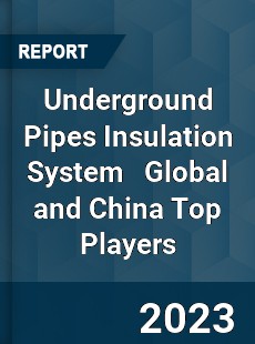 Underground Pipes Insulation System Global and China Top Players Market