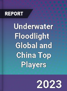 Underwater Floodlight Global and China Top Players Market