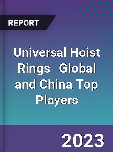 Universal Hoist Rings Global and China Top Players Market