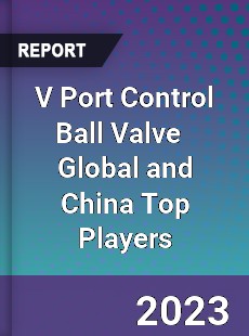 V Port Control Ball Valve Global and China Top Players Market