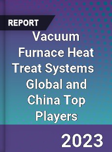 Vacuum Furnace Heat Treat Systems Global and China Top Players Market