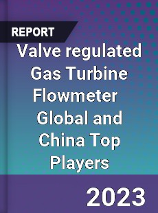 Valve regulated Gas Turbine Flowmeter Global and China Top Players Market