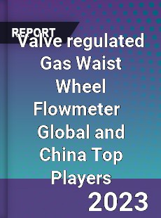 Valve regulated Gas Waist Wheel Flowmeter Global and China Top Players Market