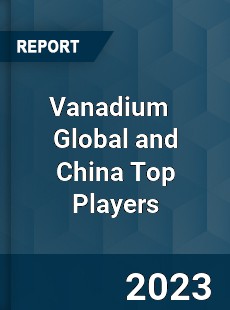 Vanadium Global and China Top Players Market