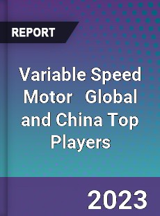 Variable Speed Motor Global and China Top Players Market