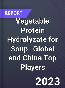 Vegetable Protein Hydrolyzate for Soup Global and China Top Players Market